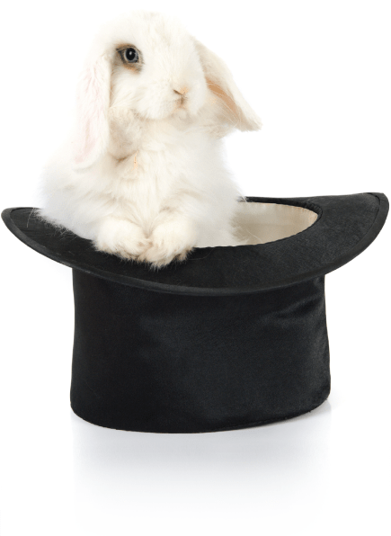 Let Mneumonix pull a rabbit out of the hat for you